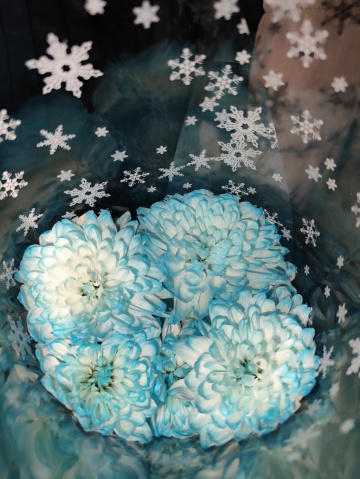 индивидуалка проститутка Омска