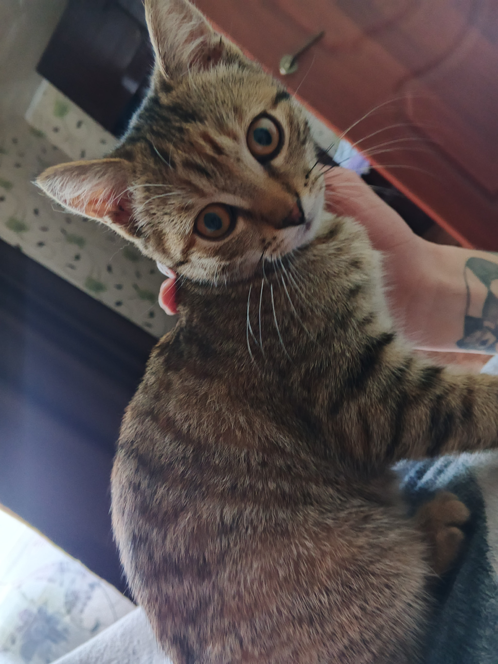 Р: проститутки индивидуалки в Омске